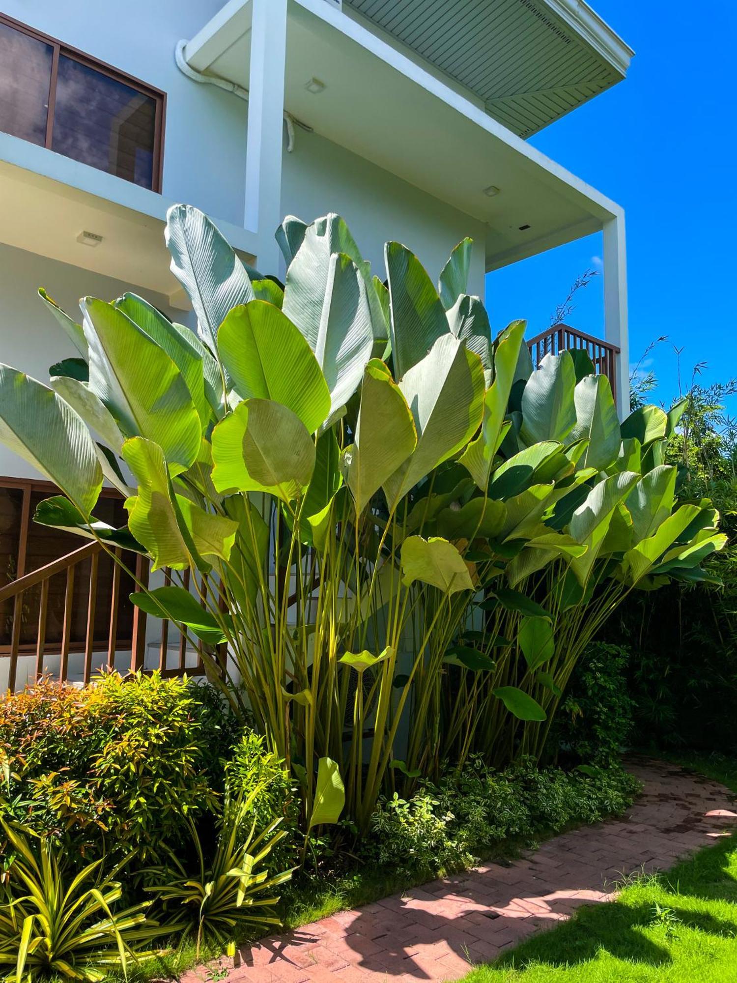 Red Picnic Hostel ปางเลา ภายนอก รูปภาพ