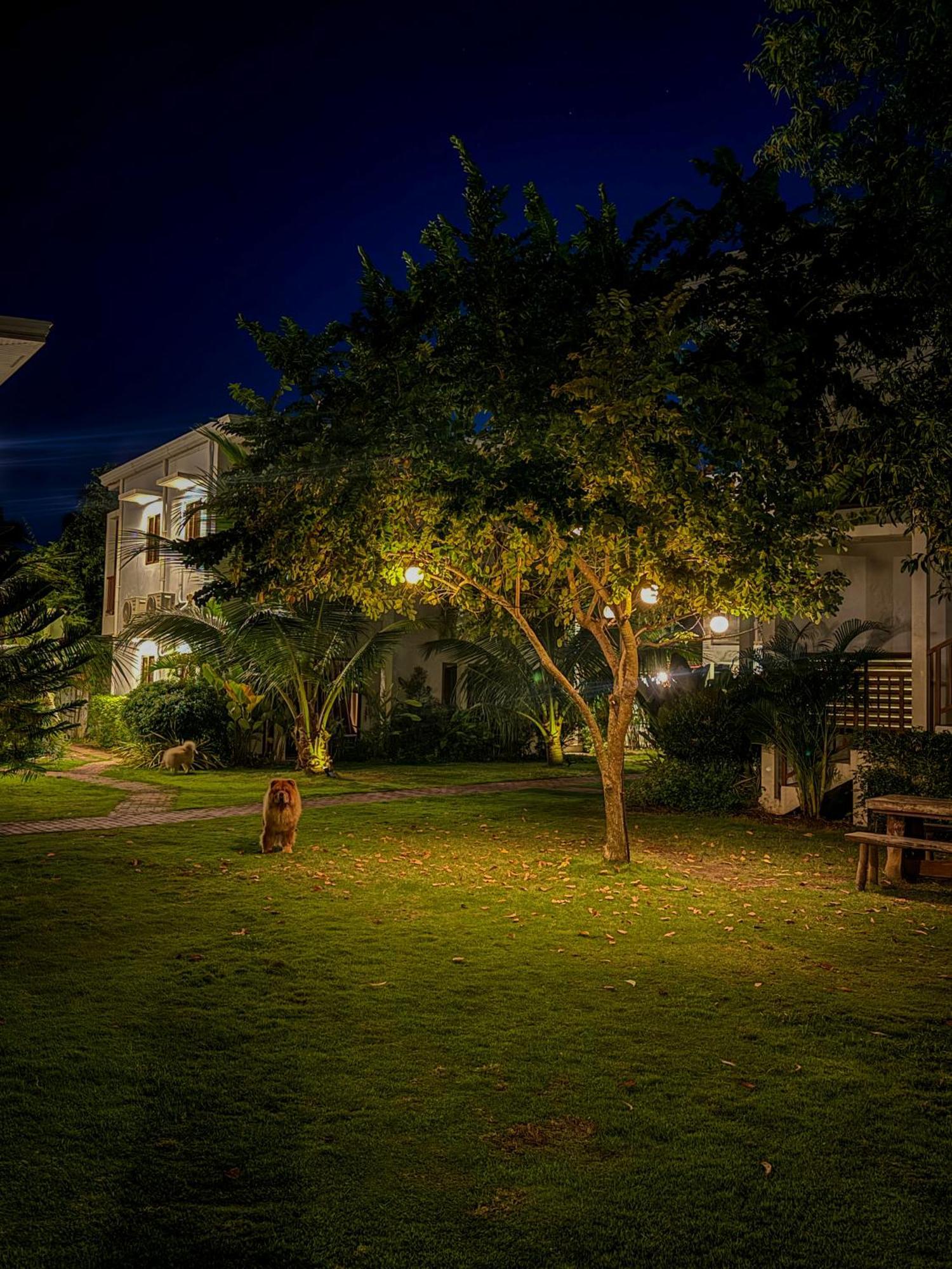 Red Picnic Hostel ปางเลา ภายนอก รูปภาพ